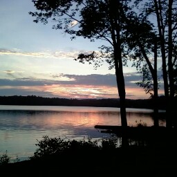 Matthew Phipps Photo 18