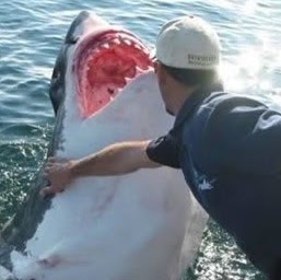 Alan Frederick Photo 12