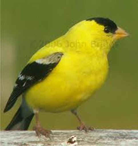 Julia Durand Photo 18