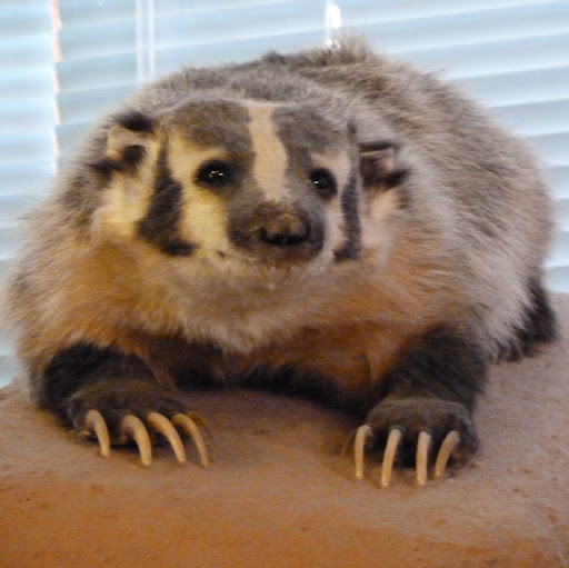 Lance Hendrickson Photo 6