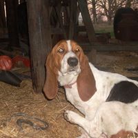 Lisa Mcclintock Photo 32