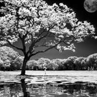 Kelley Ross Photo 39