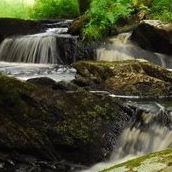 Cynthia Allan Photo 23