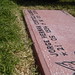 Jorge Cortez Photo 39
