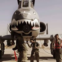 William Almada Photo 5