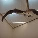 Yong Huang Photo 18