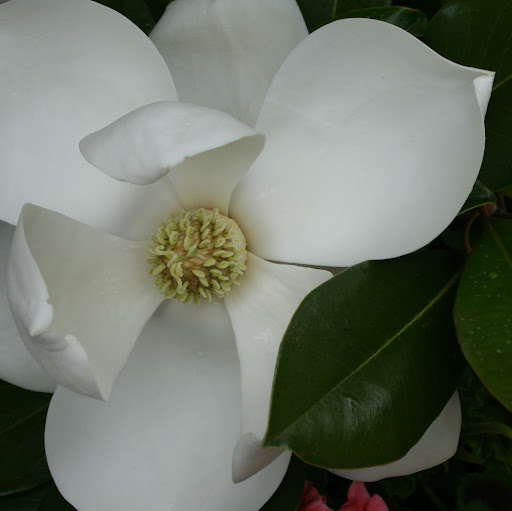 Laura Reeves Photo 21