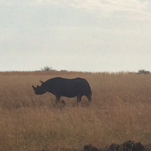 William Heard Photo 33