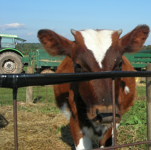 Terence O'Brien Photo 12