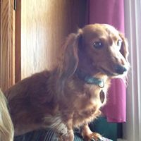 Doris Pickering Photo 3