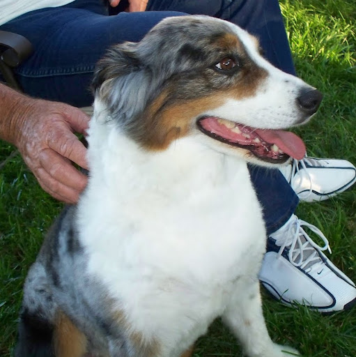 Roger Gibson Photo 40