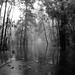 Jesse Parks Photo 23