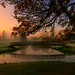 Karen Edmonds Photo 10