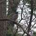 Robin Devine Photo 16