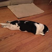 Cindy Mackie Photo 3