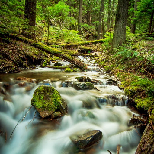 Richard Russell Photo 44 Richard Russell Photo 44