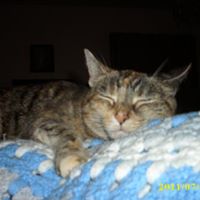 Deborah Herrmann Photo 18