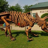 Tammy Dotson Photo 24