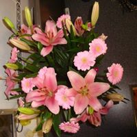 Sandra Firth Photo 5