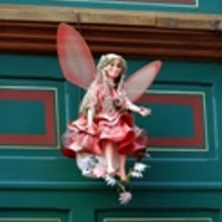 Jackie Harvey Photo 38