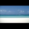 Antonio Sanchez Photo 28
