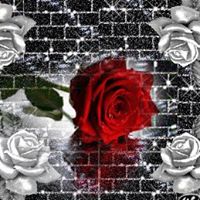 Elvia Rodriguez Photo 20