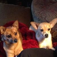 Robert Conklin Photo 33