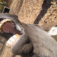 Erica Colvin Photo 13