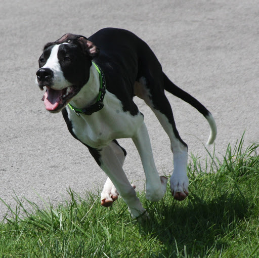 Adolfo Martinez Photo 41 Adolfo Martinez Photo 41