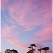 Amanda Townsend Photo 39