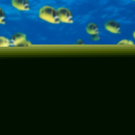 Claire Meyer Photo 16