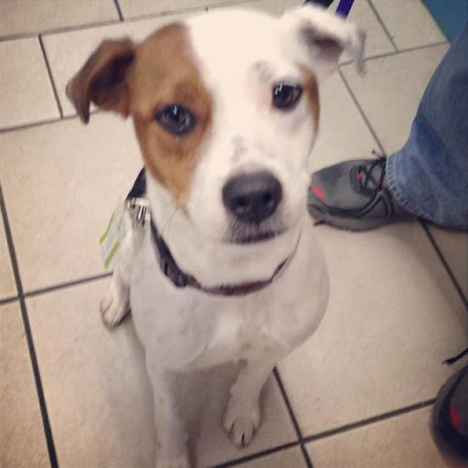 Julie Spring Photo 5