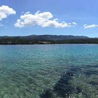 Stephen Rowell Photo 10