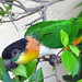Stephanie Blackie Photo 16
