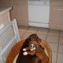 Deborah Warner Photo 36