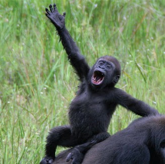 Tony Goodwin Photo 39