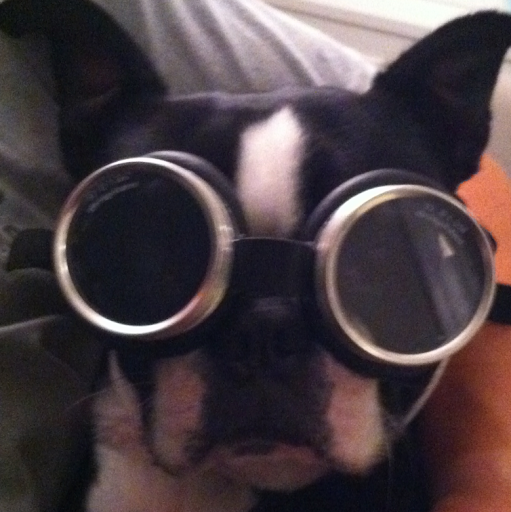 Scott Shore Photo 32