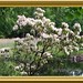 Joann Bloom Photo 19