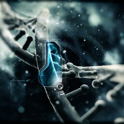 Timothy Reed Photo 17