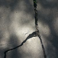 Alan Wiseman Photo 16 Alan Wiseman Photo 16