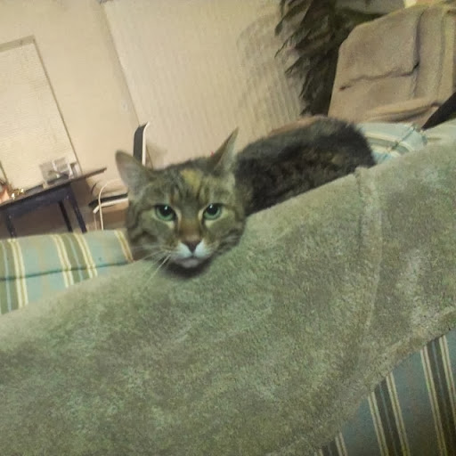 Albert Riddle Photo 12