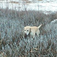 Anne Roberts Photo 25