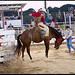 Kathleen Buck Photo 28