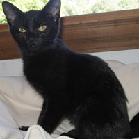 Deborah Christy Photo 10