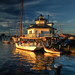 Michael Hooper Photo 36