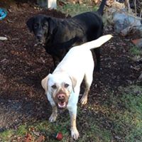 Curtis Russell Photo 21 Curtis Russell Photo 21