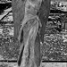 Margaret Ensor Photo 9