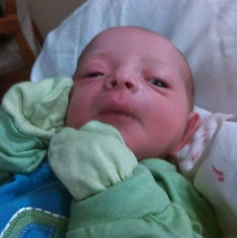 Denise Graham Photo 12