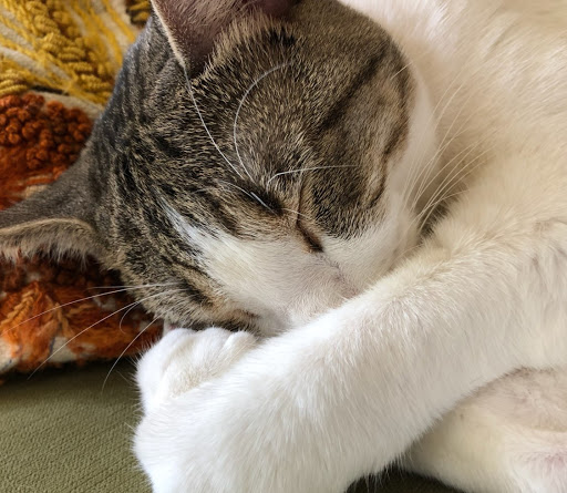 Susan Ebert Photo 11 Susan Ebert Photo 11