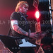 David Taggart Photo 16